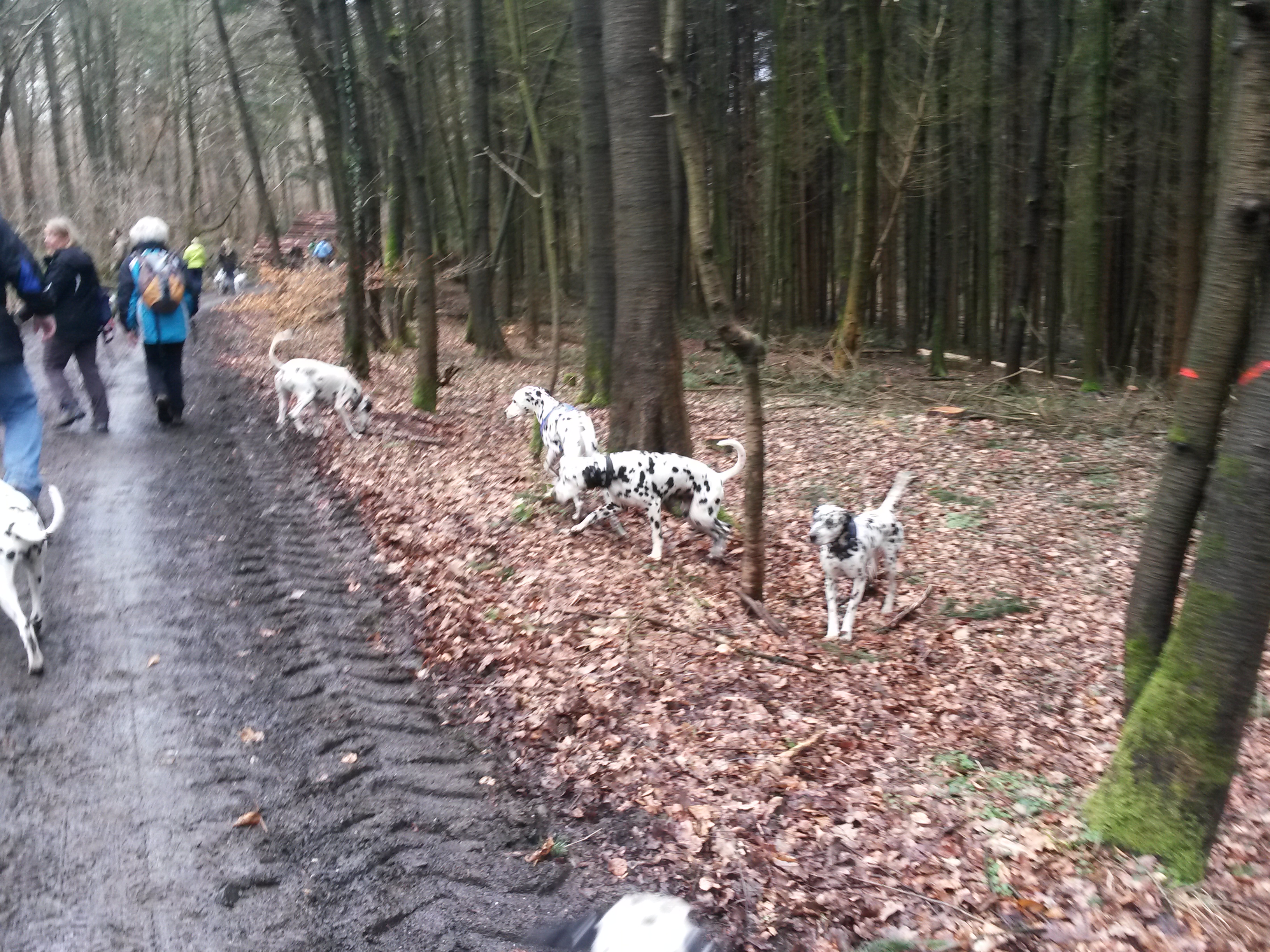 wt991