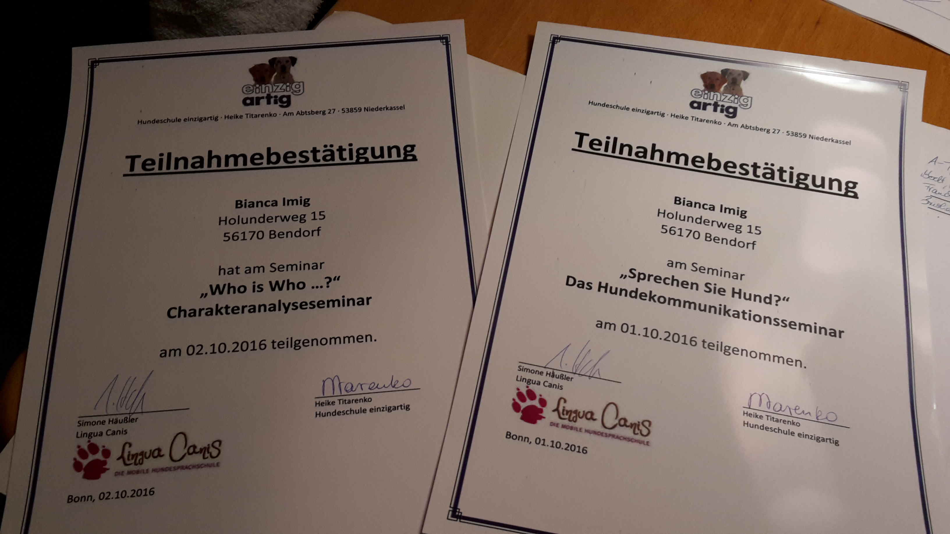 vdh zw